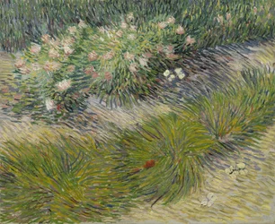 Herbe et papillons